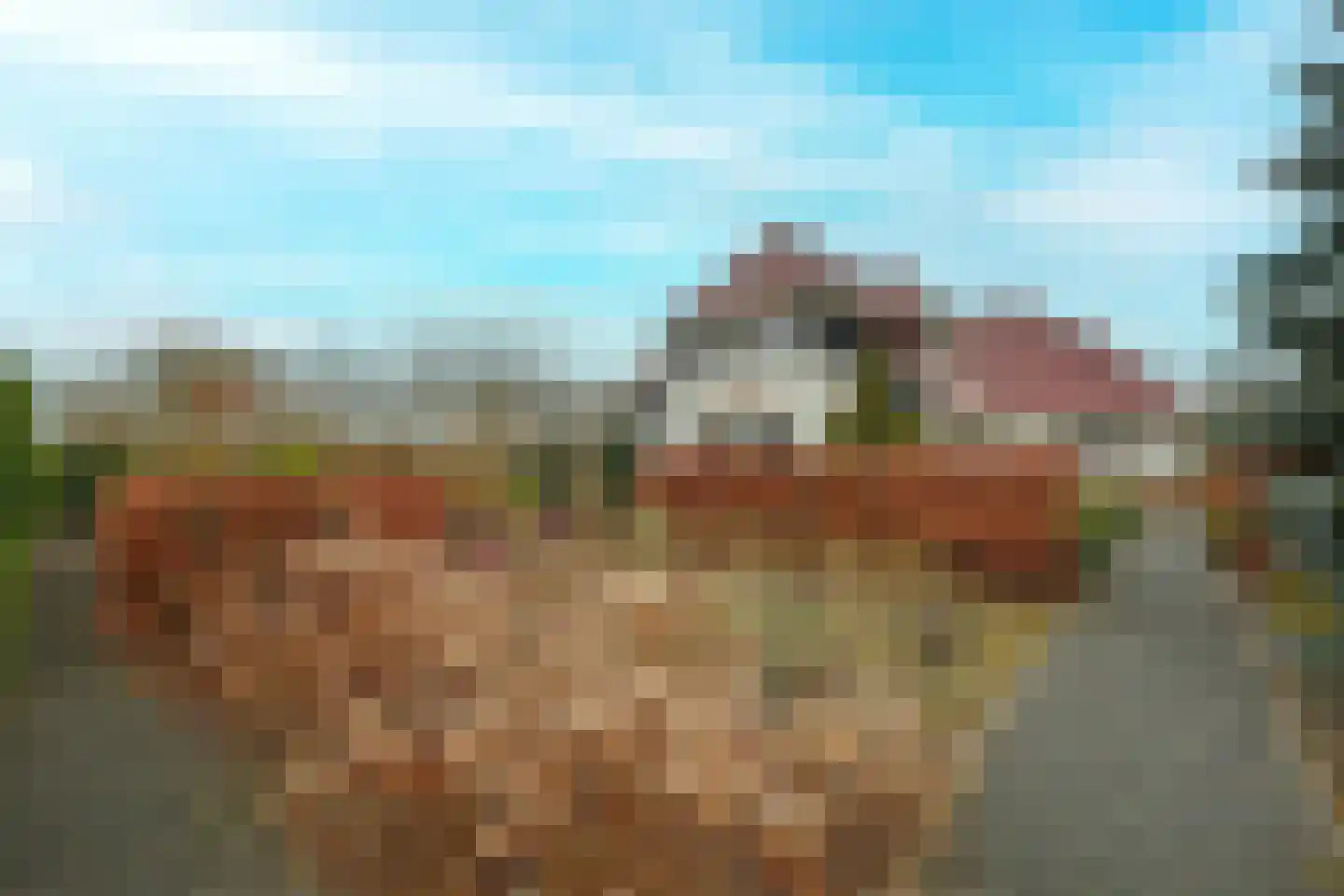 Hoge Bergse Bos 1 Almere thumbnail 36