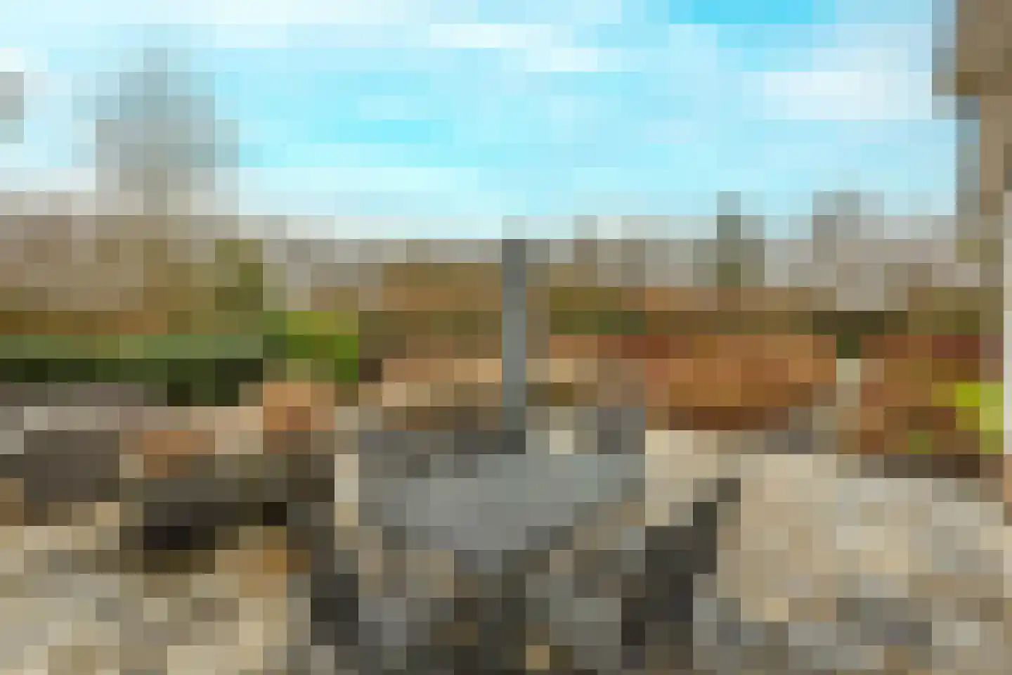 Hoge Bergse Bos 1 Almere thumbnail 41