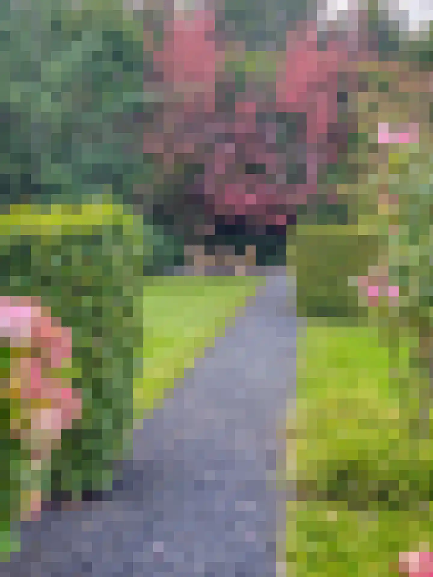 Hoge Bergse Bos 1 Almere thumbnail 44