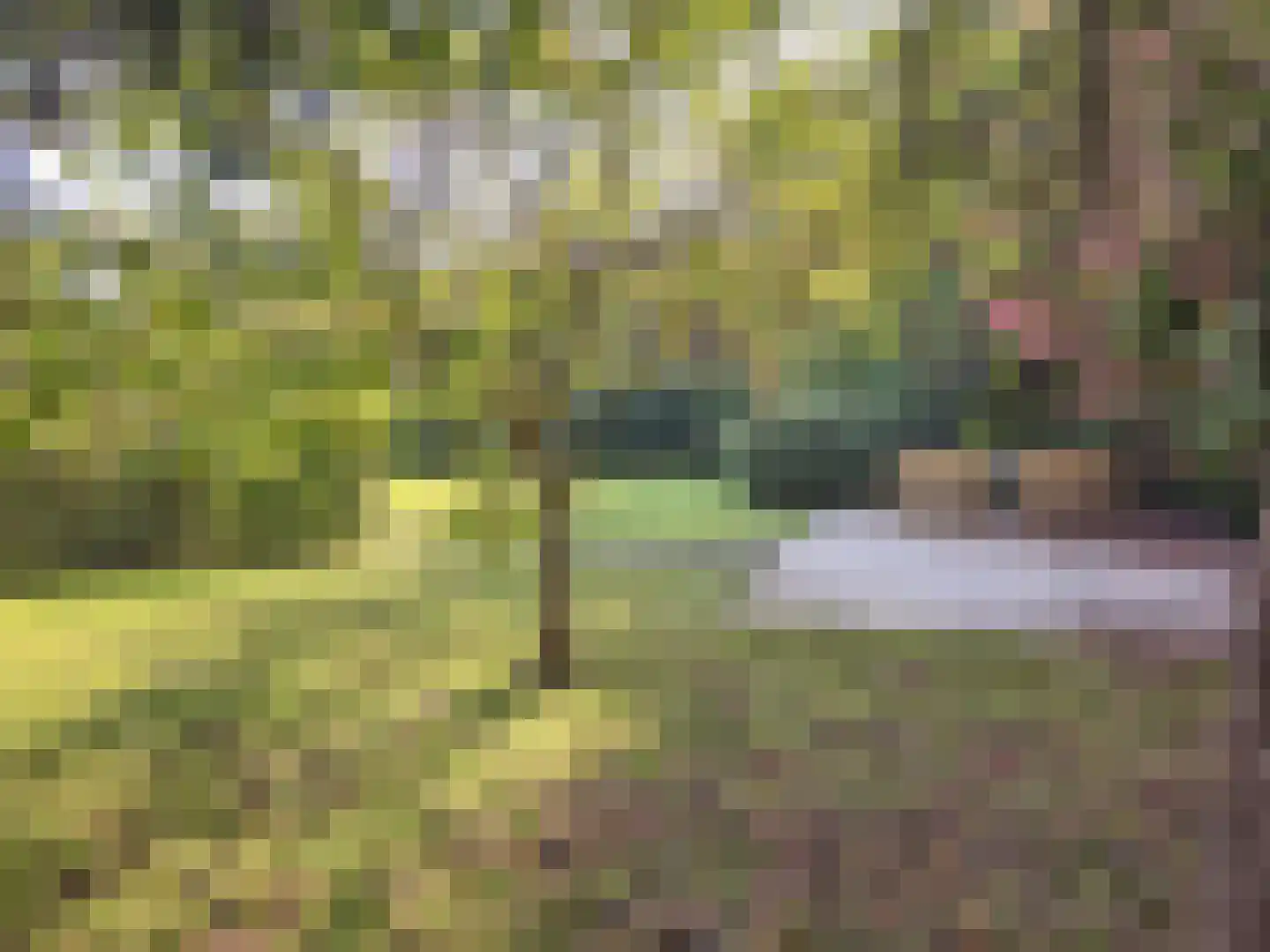 Hoge Bergse Bos 1 Almere thumbnail 46