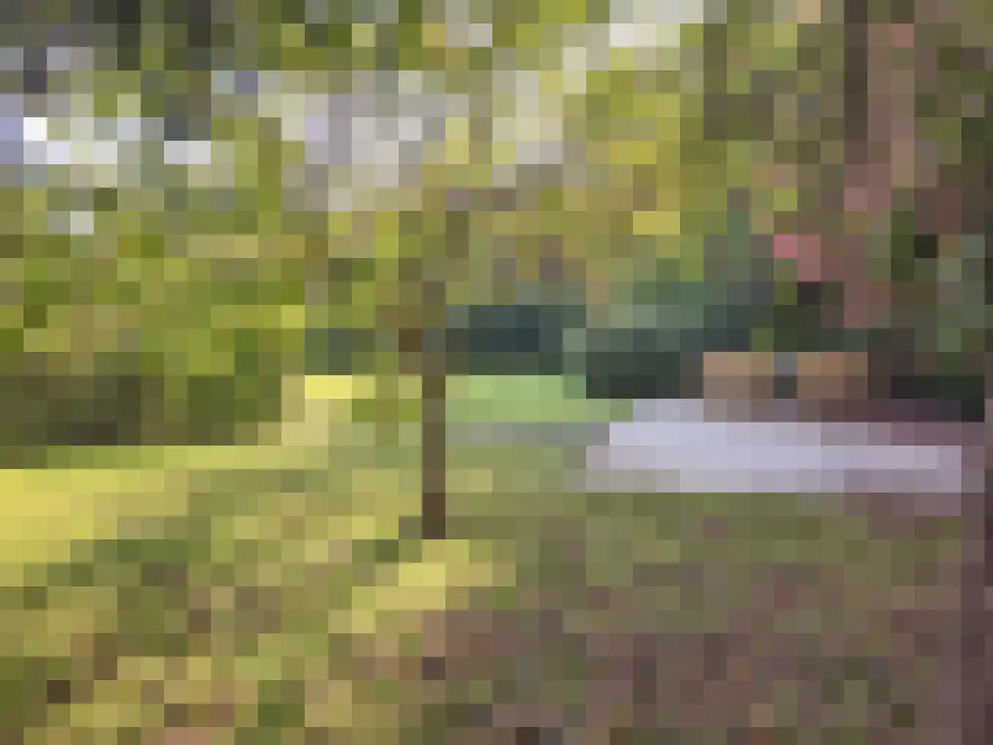 Hoge Bergse Bos 1 Almere thumbnail 46