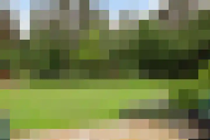 Hoge Bergweg 14 Beekbergen thumbnail 64