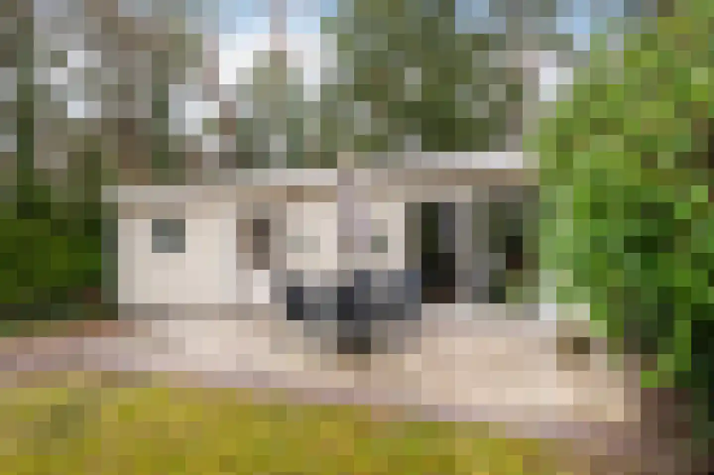 Hoge Bergweg 16 10 Beekbergen thumbnail 33