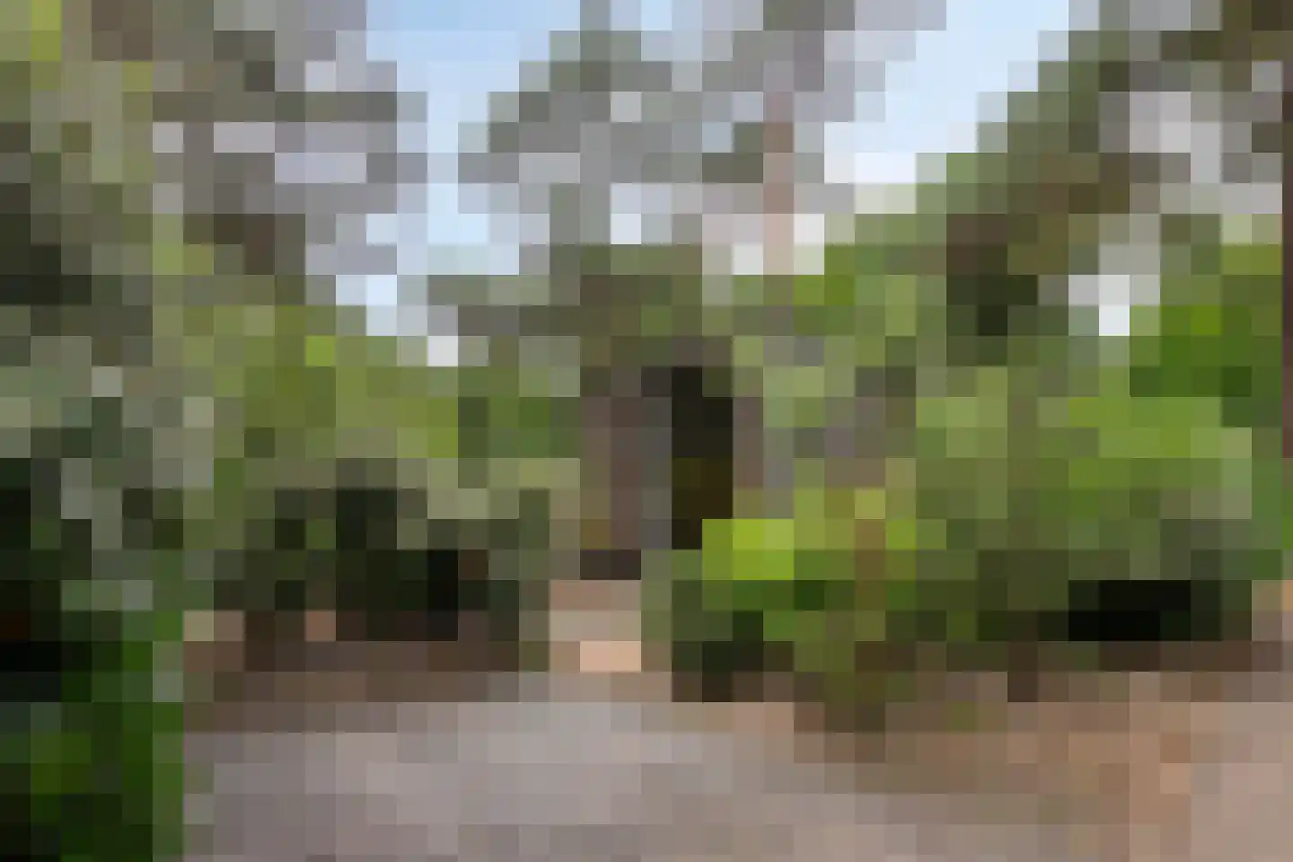 Hoge Bergweg 16 108A Beekbergen thumbnail 5