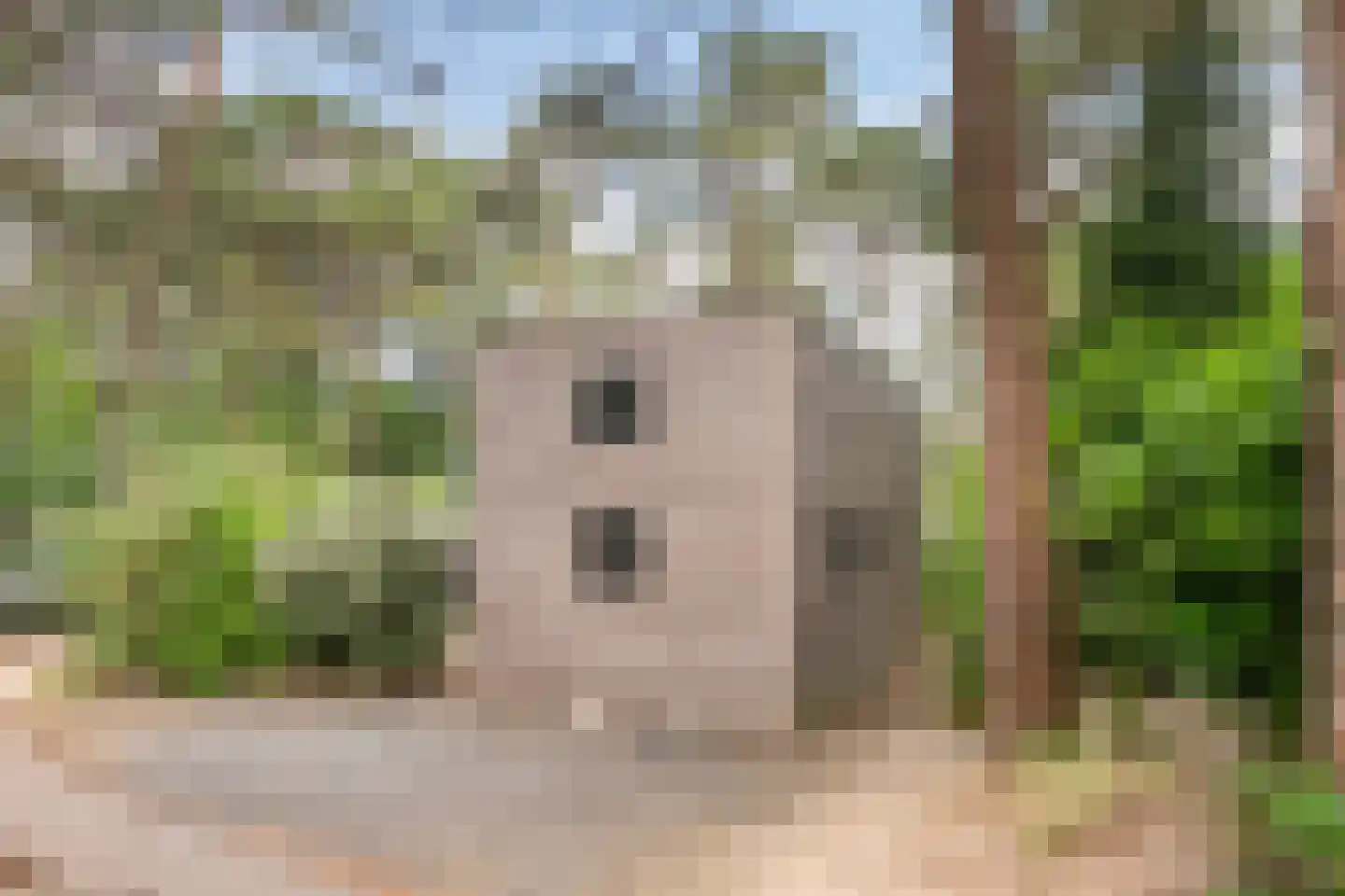 Hoge Bergweg 16 108B Beekbergen thumbnail 6