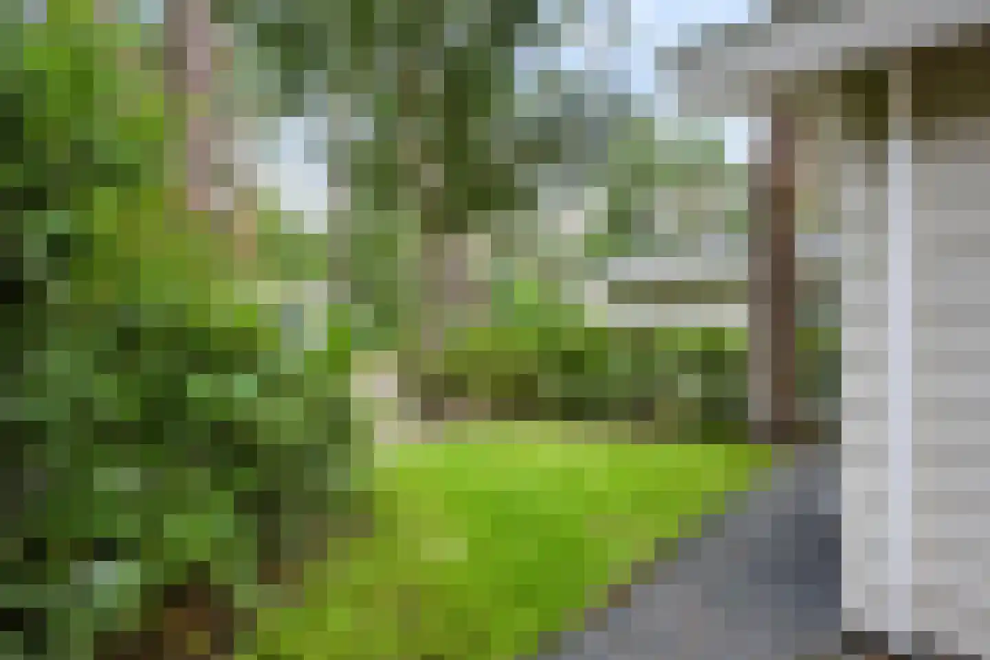 Hoge Bergweg 16 184 Beekbergen thumbnail 23