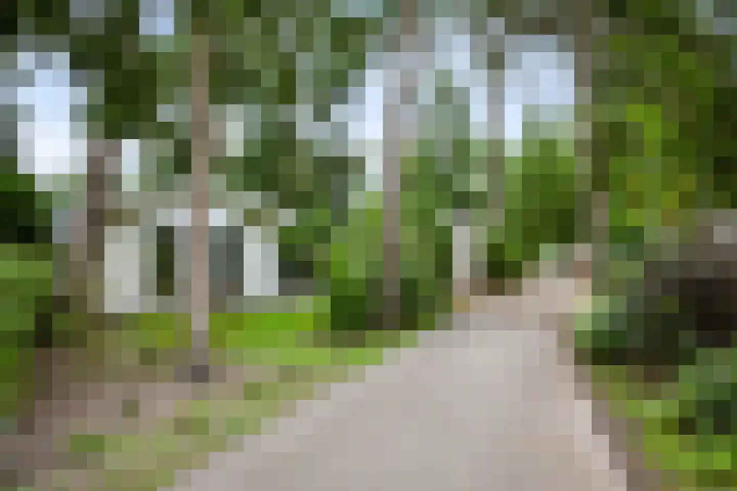 Hoge Bergweg 16 184 Beekbergen thumbnail 26