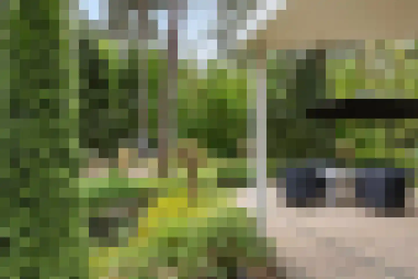 Hoge Bergweg 16 200 Beekbergen thumbnail 21