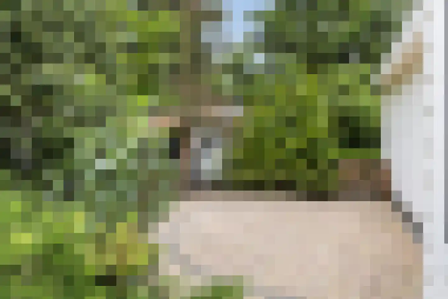 Hoge Bergweg 16 200 Beekbergen thumbnail 22