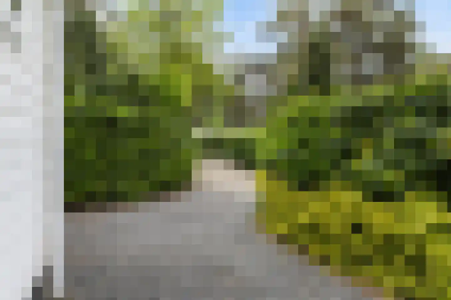 Hoge Bergweg 16 200 Beekbergen thumbnail 27
