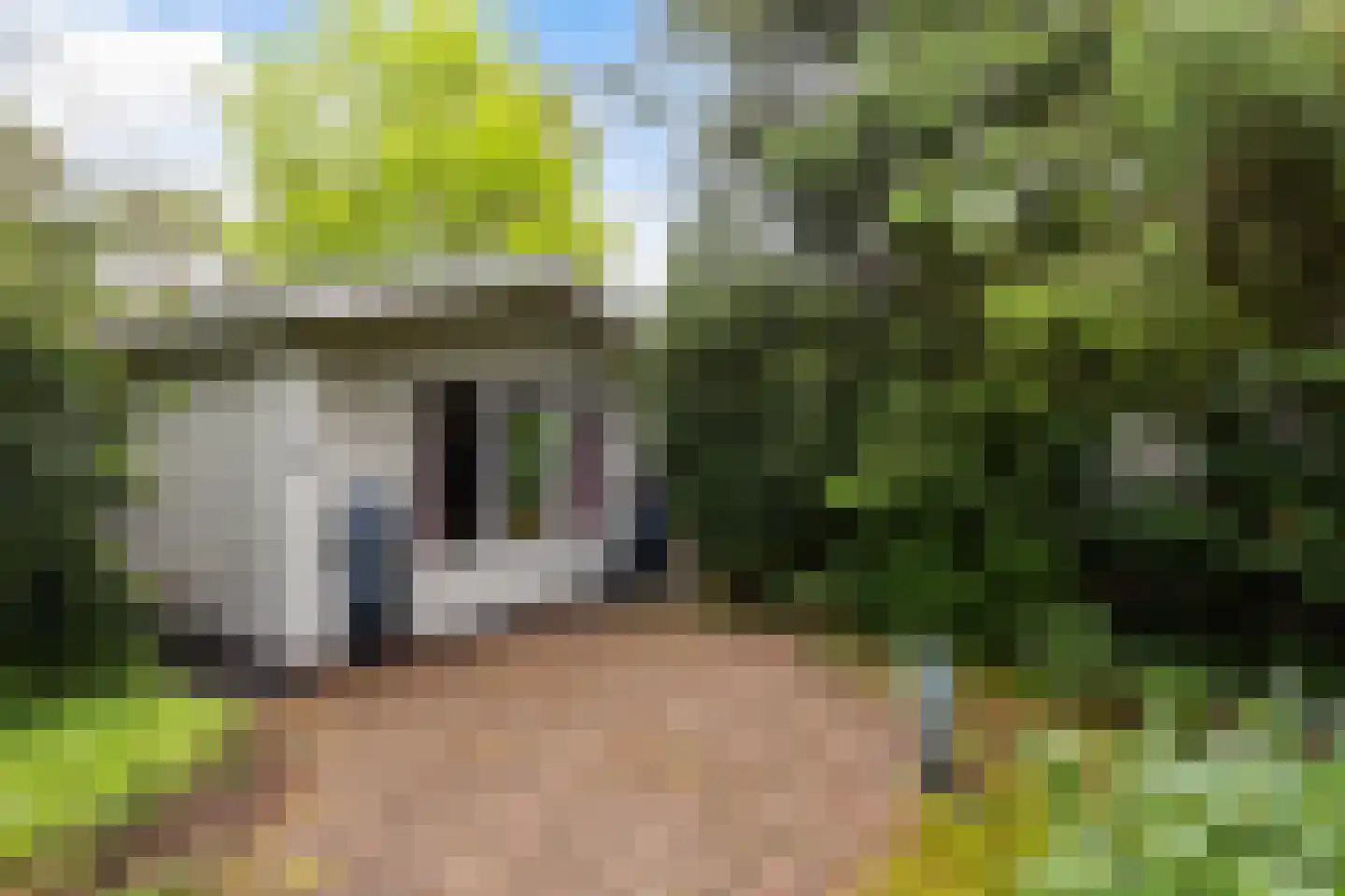 Hoge Bergweg 16 200A Beekbergen thumbnail 18