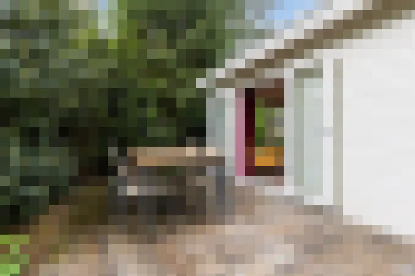 Hoge Bergweg 16 200A Beekbergen thumbnail 19