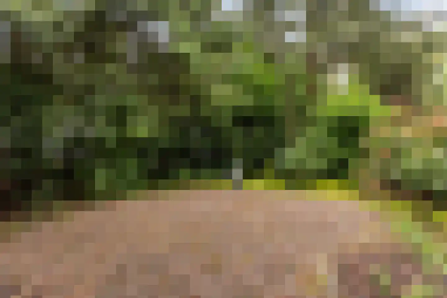 Hoge Bergweg 16 200A Beekbergen thumbnail 23