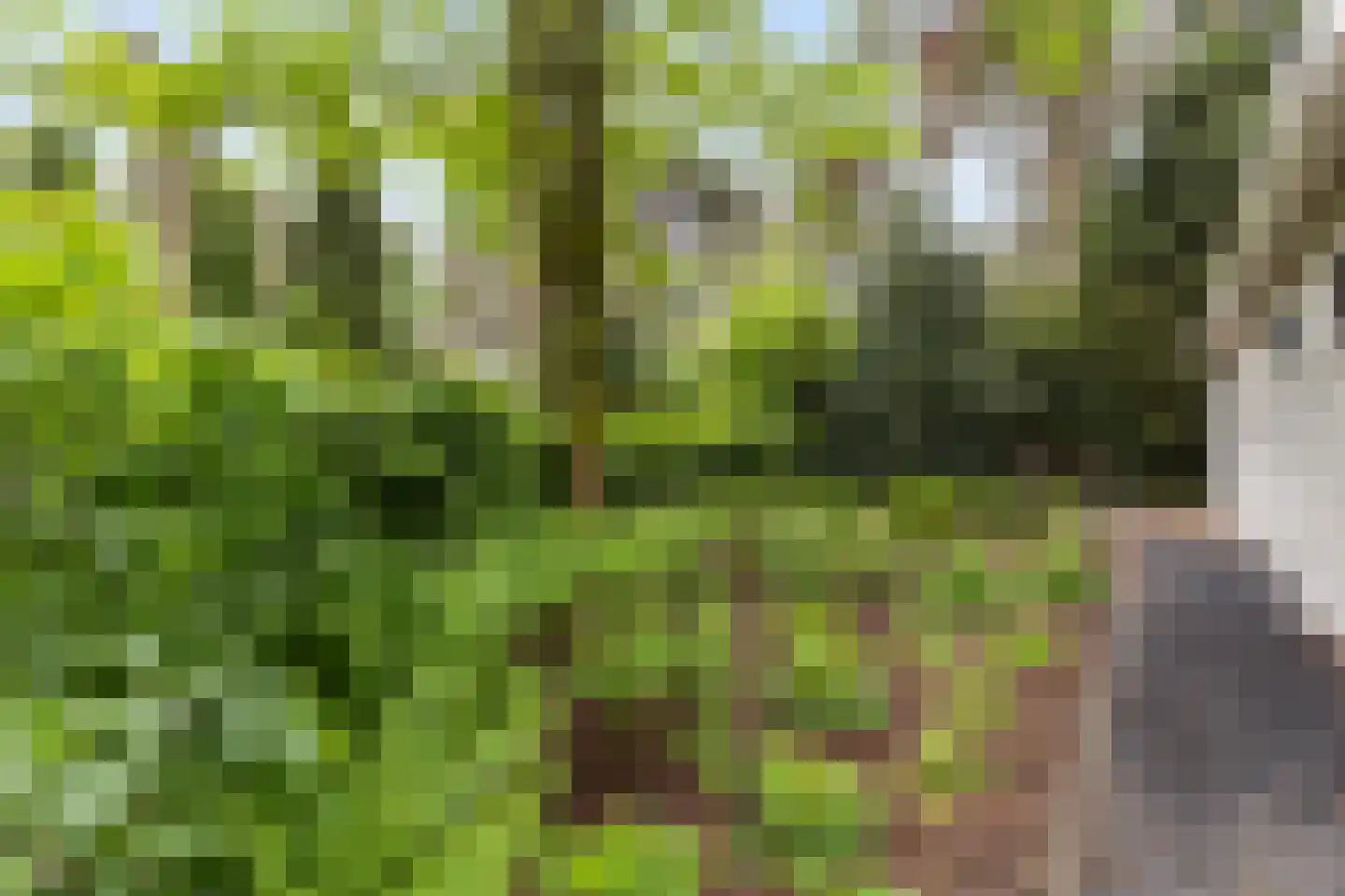 Hoge Bergweg 16 200A Beekbergen thumbnail 24