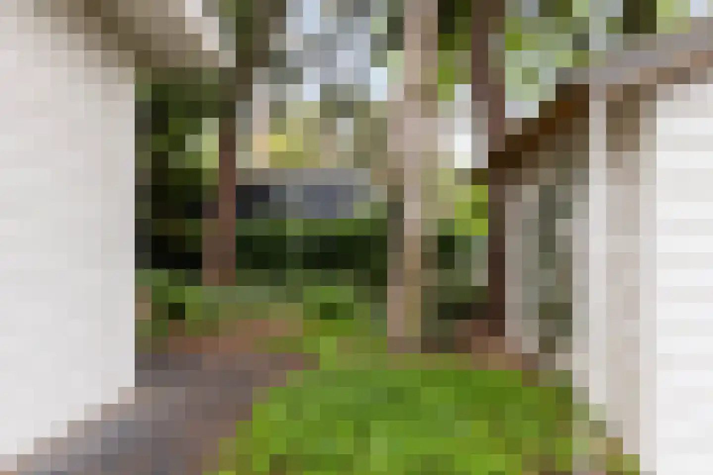 Hoge Bergweg 16 200A Beekbergen thumbnail 25