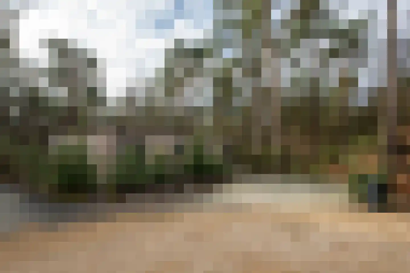 Hoge Bergweg 16 23 Beekbergen thumbnail 15