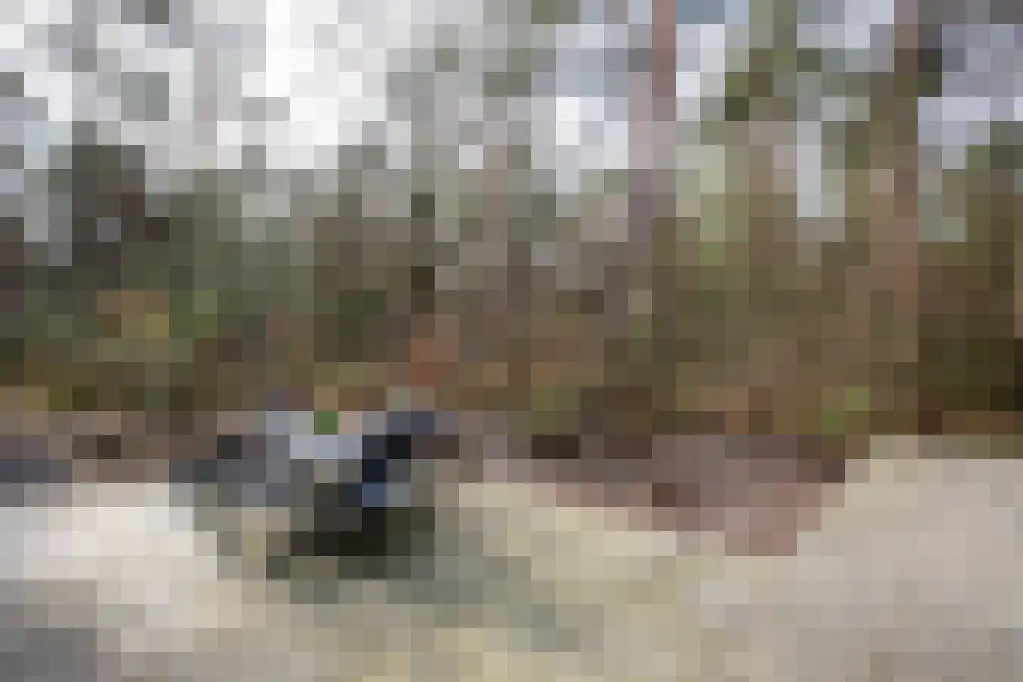 Hoge Bergweg 16 23 Beekbergen thumbnail 4