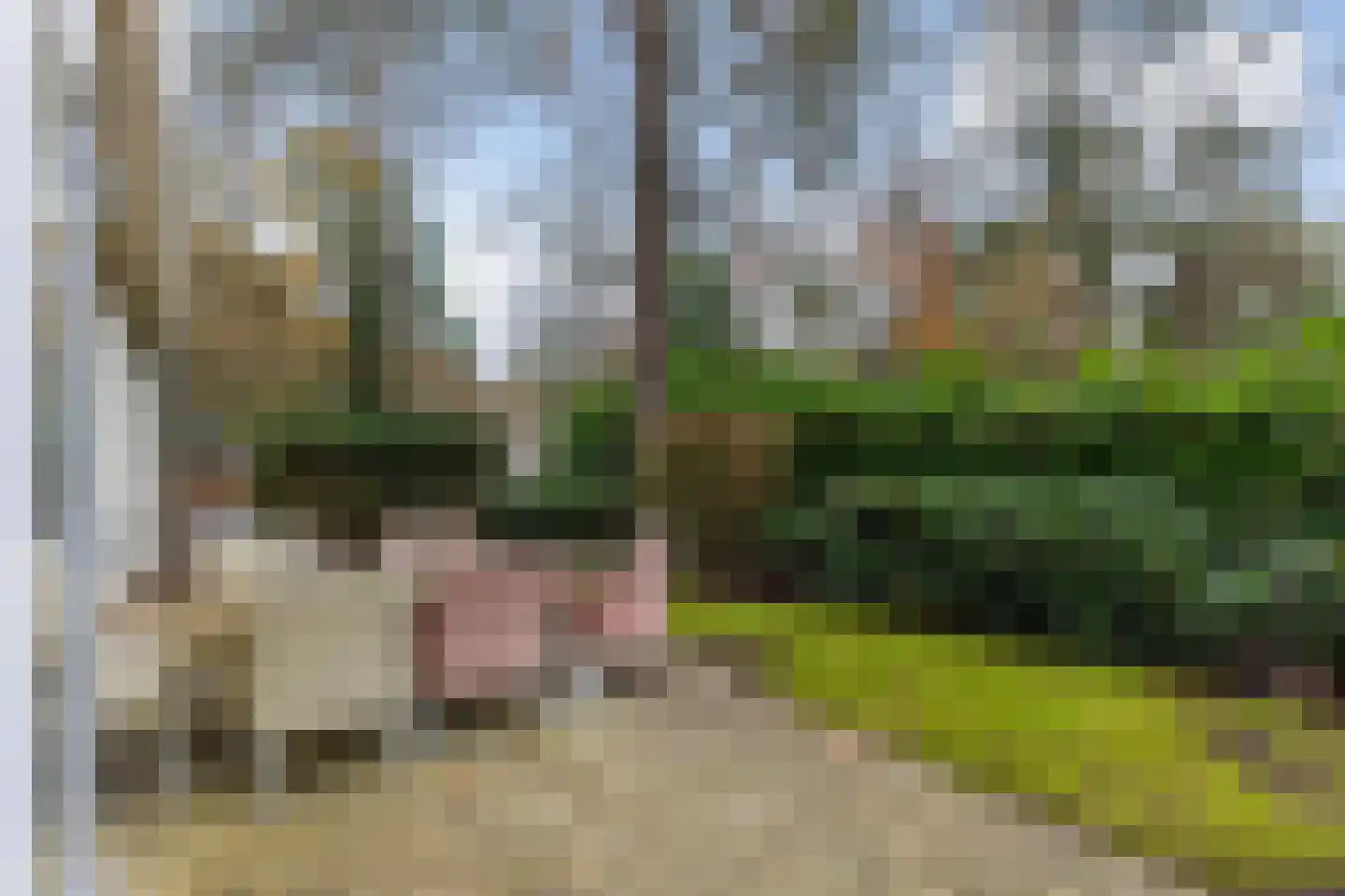 Hoge Bergweg 16 25E Beekbergen thumbnail 15