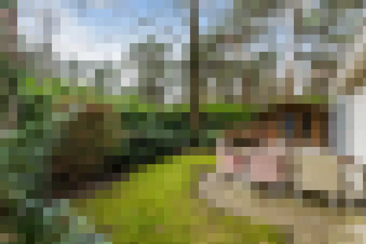 Hoge Bergweg 16 25E Beekbergen thumbnail 17