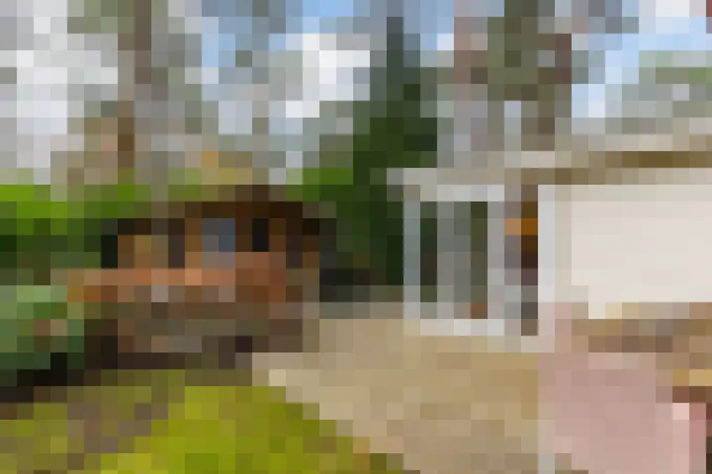 Hoge Bergweg 16 25E Beekbergen thumbnail 18