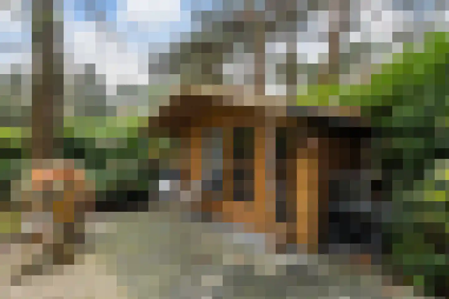 Hoge Bergweg 16 25E Beekbergen thumbnail 20