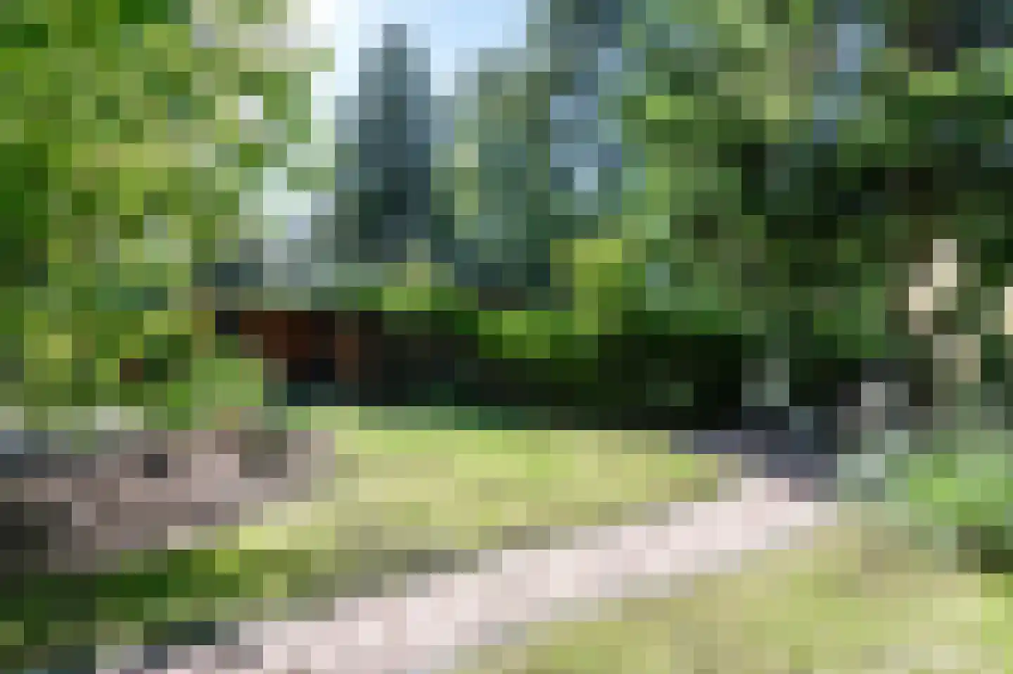 Hoge Bergweg 16 38 Beekbergen thumbnail 35