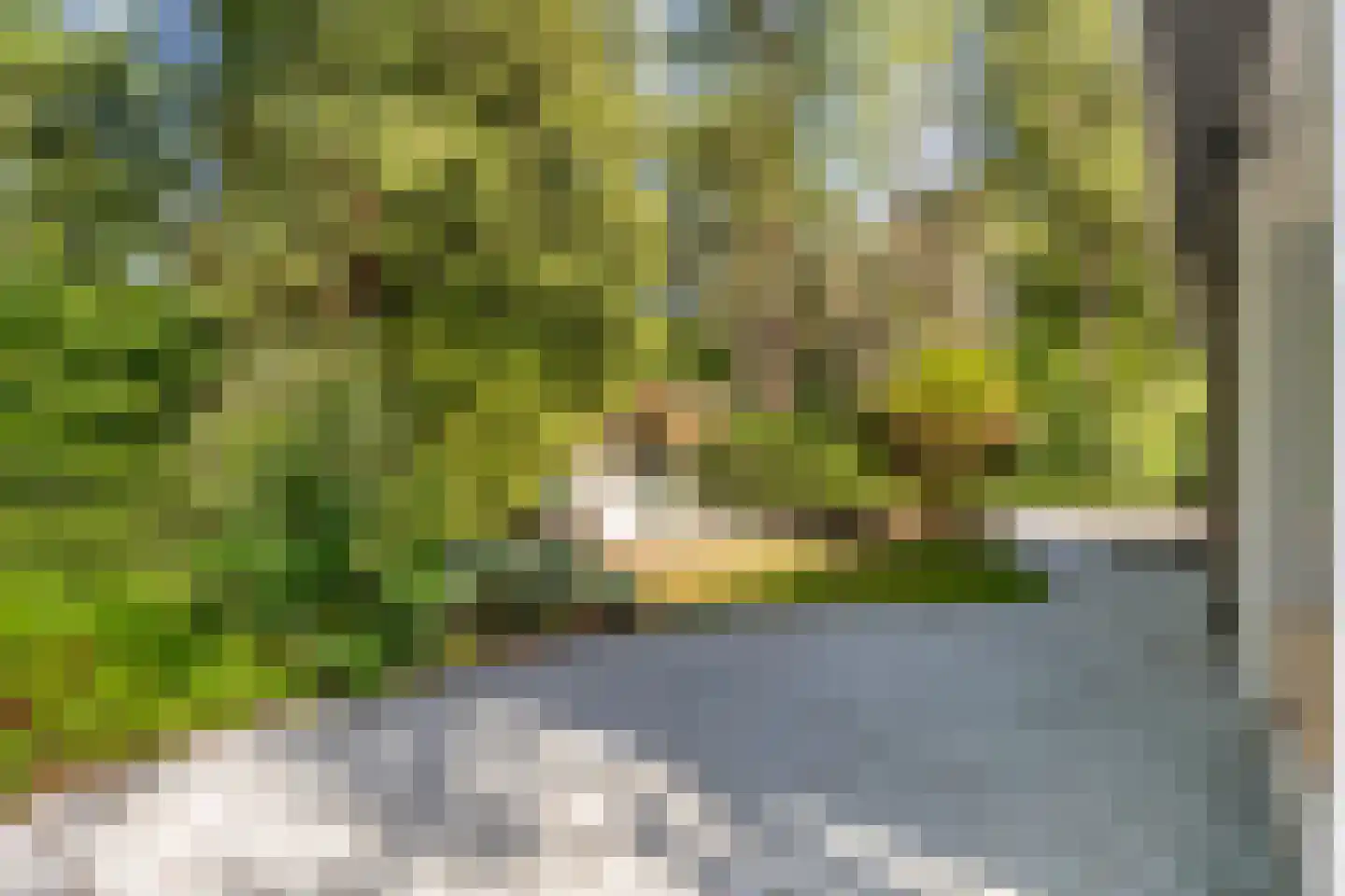 Hoge Bergweg 16 53 Beekbergen thumbnail 19