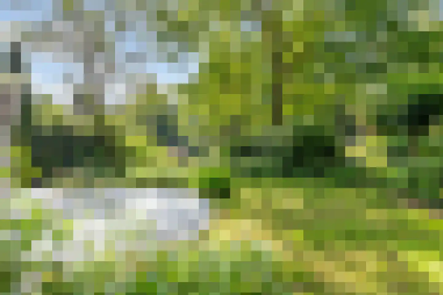 Hoge Bergweg 16 53 Beekbergen thumbnail 26