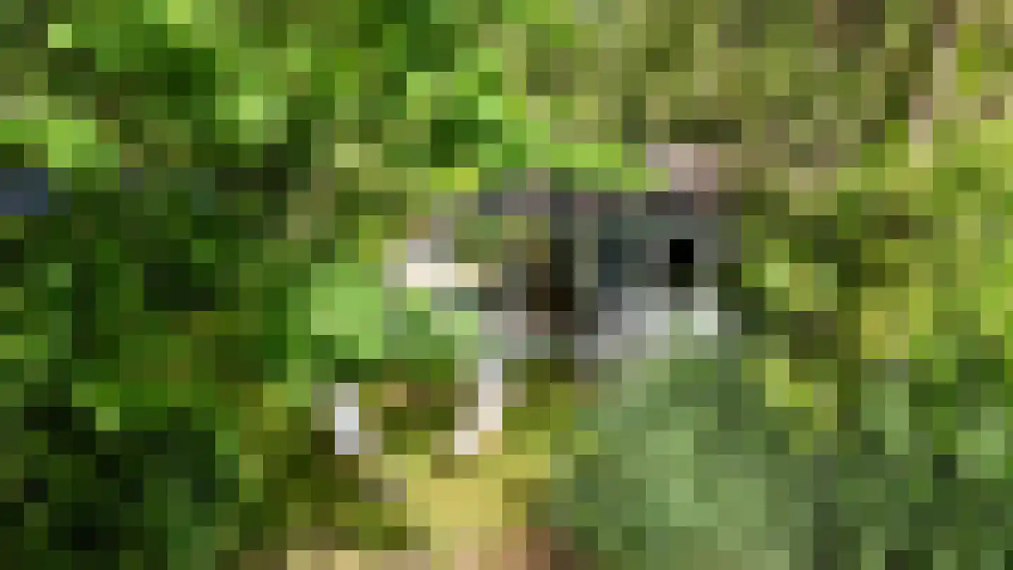 Hoge Bergweg 16 53 Beekbergen thumbnail 26