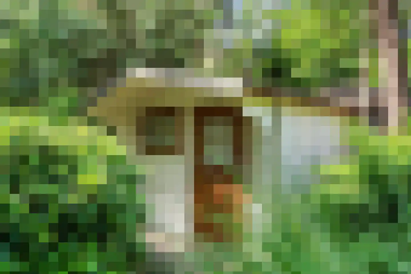 Hoge Bergweg 16 90 Beekbergen thumbnail 17