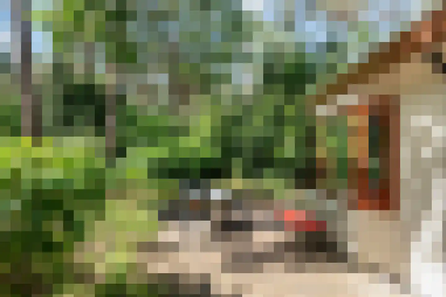 Hoge Bergweg 16 90 Beekbergen thumbnail 19