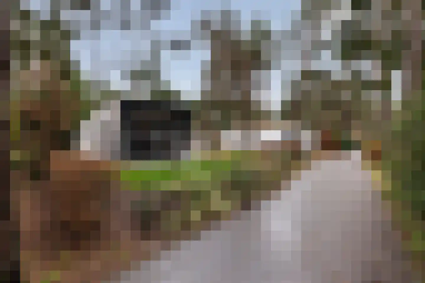 Hoge Bergweg 16 911 Beekbergen thumbnail 12
