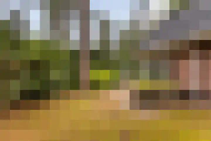 Hoge Bergweg 16 H73 Beekbergen thumbnail 25