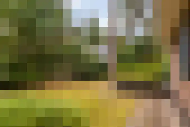 Hoge Bergweg 16 H73 Beekbergen thumbnail 30