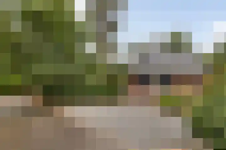 Hoge Bergweg 16 H73 Beekbergen thumbnail 32