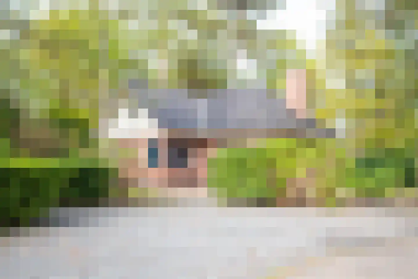 Hoge Bergweg 16 H76 Beekbergen thumbnail 4