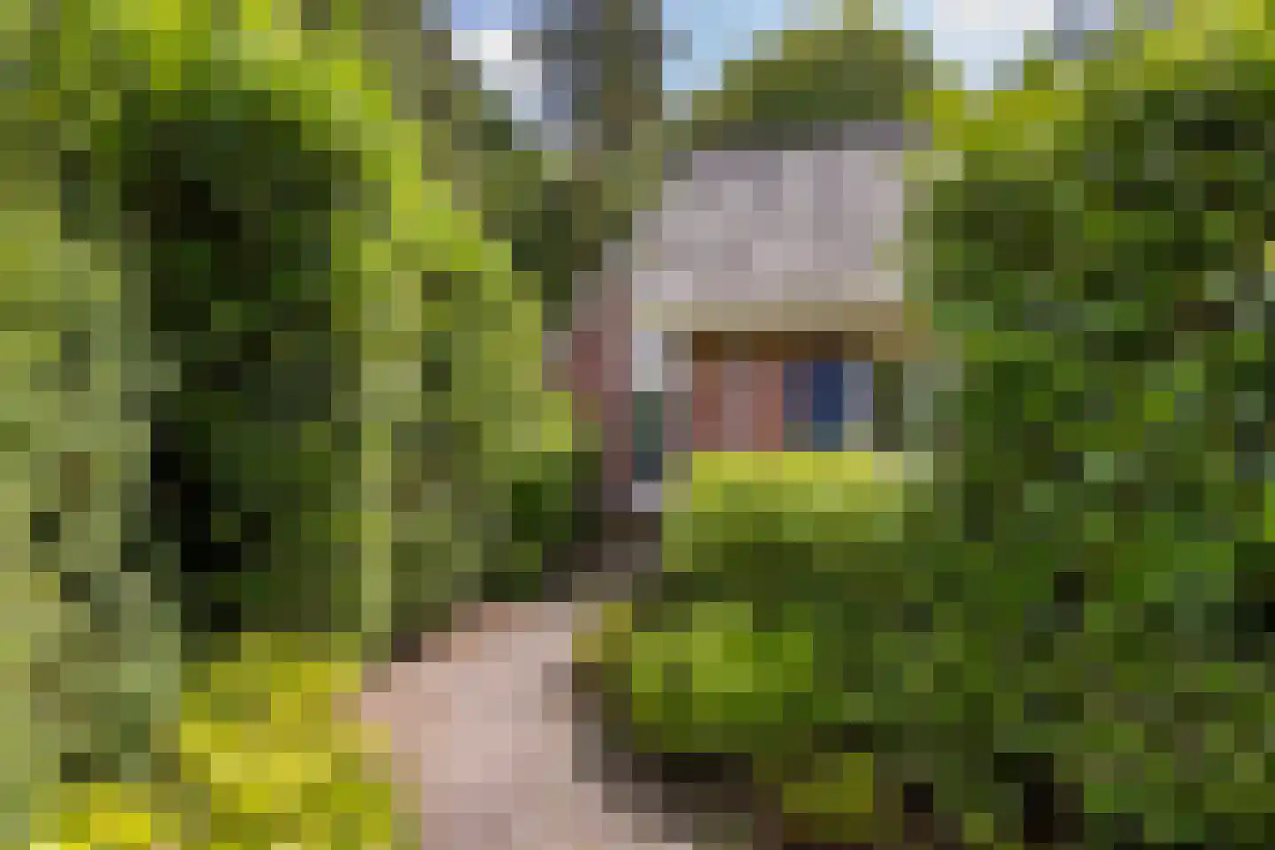 Hoge Bergweg 16 H90 Beekbergen thumbnail 22