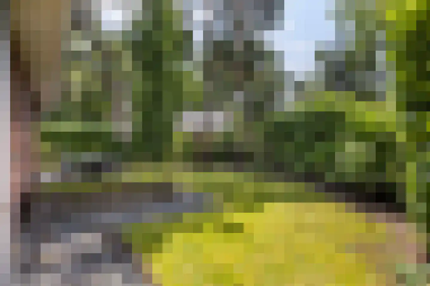 Hoge Bergweg 16 H90 Beekbergen thumbnail 29