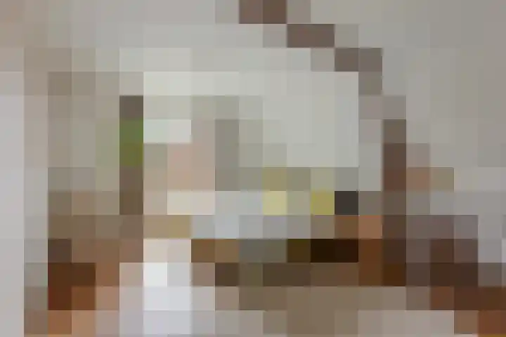 Hoge Boekelerweg 120 Enschede thumbnail 14
