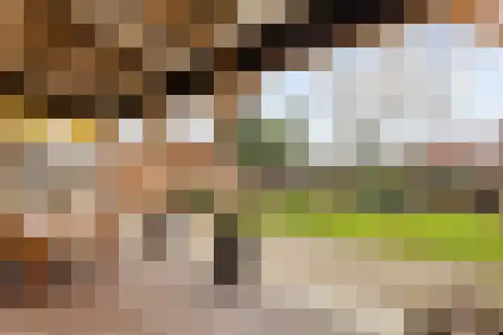 Hoge Boekelerweg 120 Enschede thumbnail 18