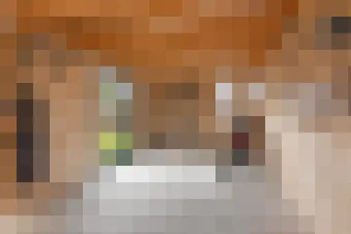 Hoge Boekelerweg 120 Enschede thumbnail 20