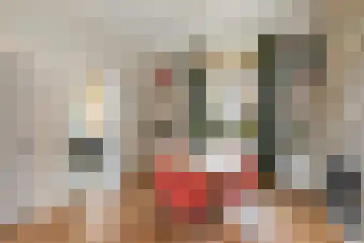 Hoge Boekelerweg 120 Enschede thumbnail 9