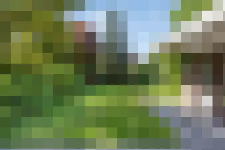 Hoge Boekelerweg 154 Enschede thumbnail 34