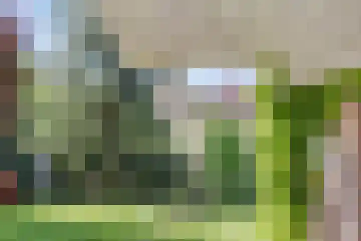 Hoge Boekelerweg 154 Enschede thumbnail 35