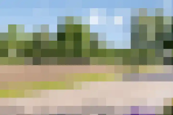 Hoge Boekelerweg 154 Enschede thumbnail 38