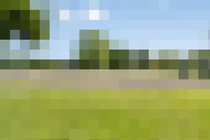 Hoge Boekelerweg 154 Enschede thumbnail 39