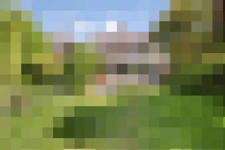 Hoge Boekelerweg 154 Enschede thumbnail 4