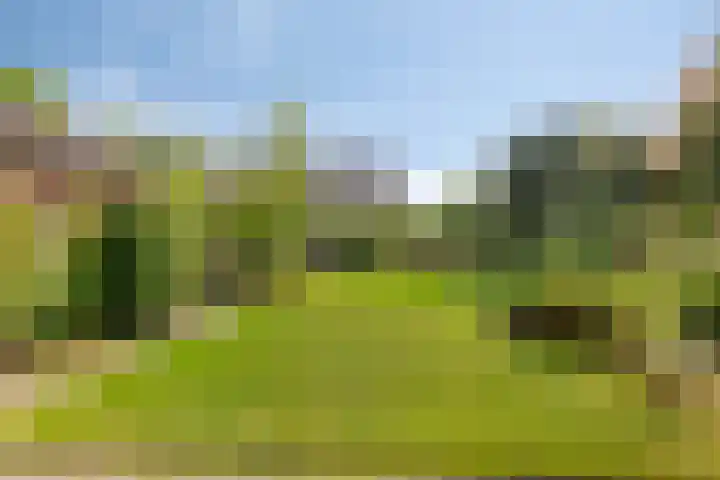 Hoge Boekelerweg 156 Enschede thumbnail 35