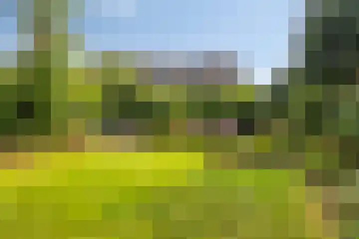 Hoge Boekelerweg 156 Enschede thumbnail 38