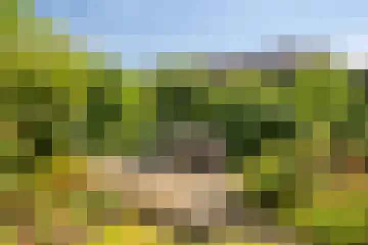 Hoge Boekelerweg 156 Enschede thumbnail 39